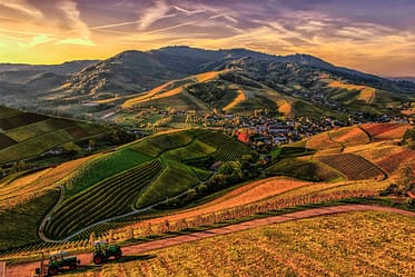 Environmental Land Management: Rolling Hills Of Agriculture 