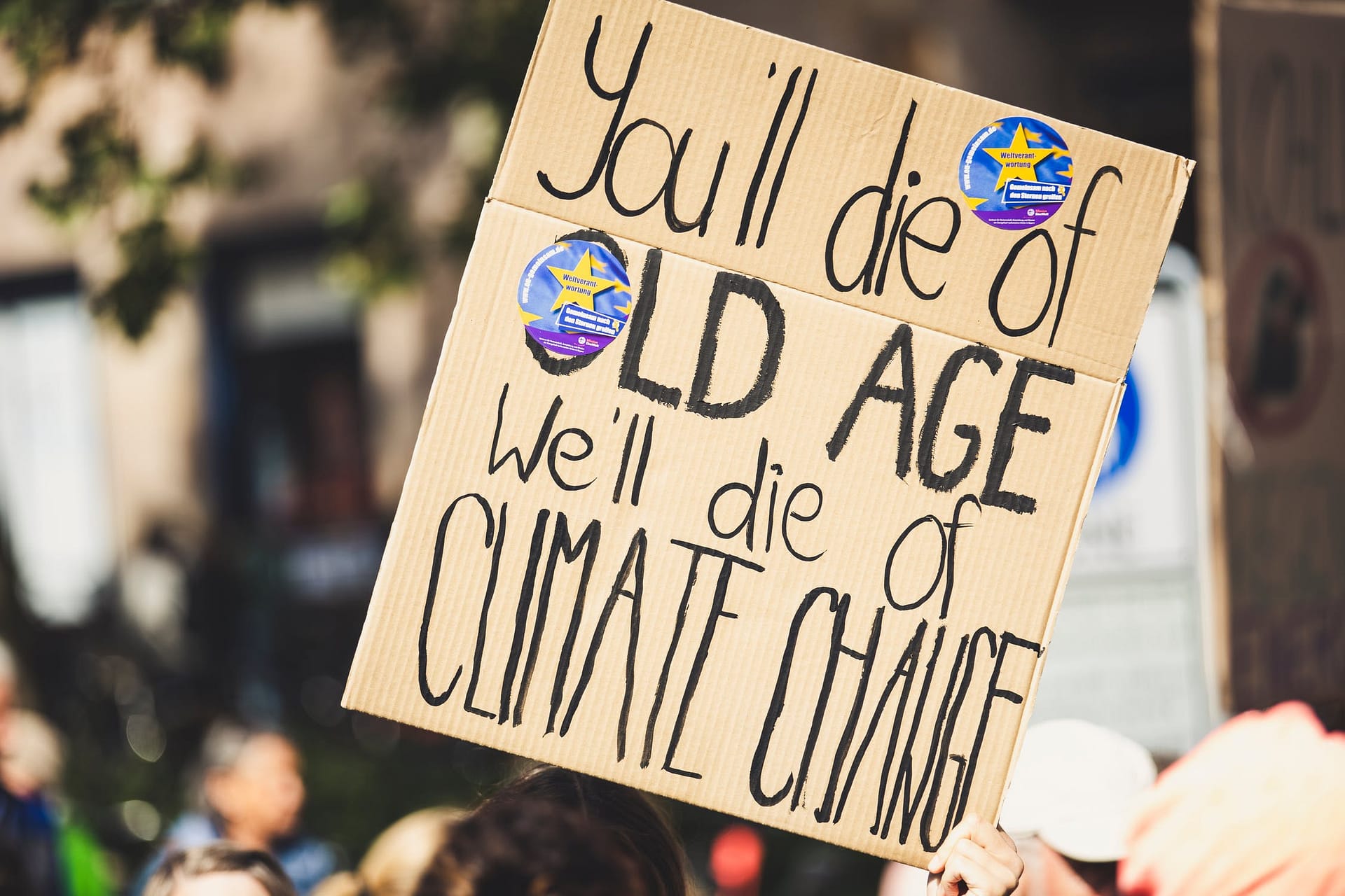 COP26 You'll die of old age, we'll die of Climate Change Protestor Placard