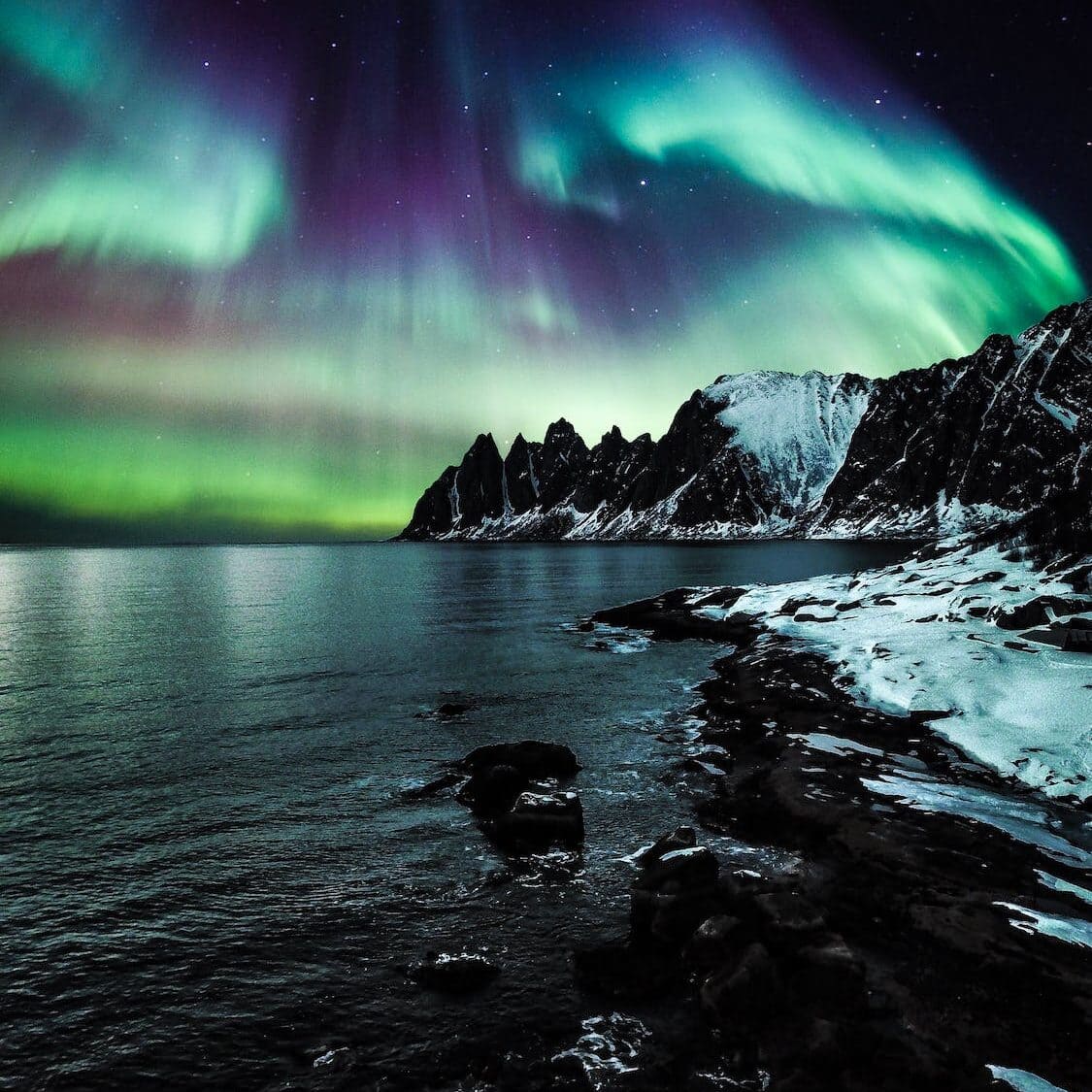 Norway Fiordland Northern Lights